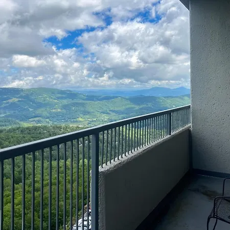 303 Sugar Top Dr #2901